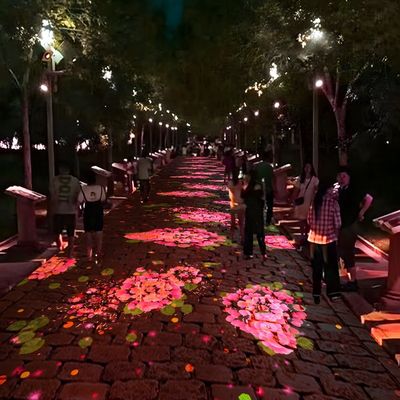 좋은 가격 야외 인터랙티브 프로젝션 체험 지상 프로젝션 몰입형 프로젝션 온라인으로