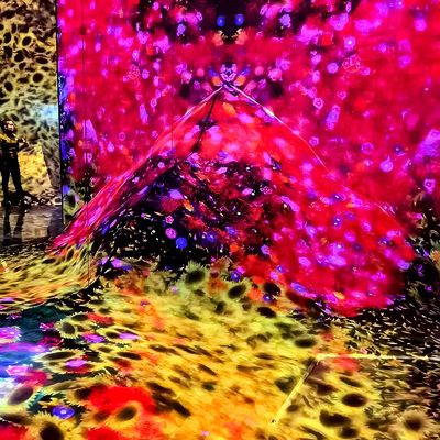 좋은 가격 3D 실내 몰입 프로젝션 Ktv 바 클럽 몰입 프로젝션 시스템 온라인으로