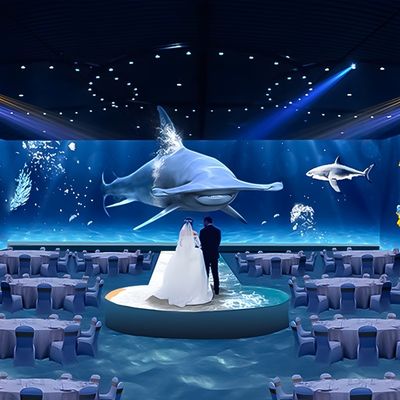좋은 가격 식사 경험 레스토랑 즐거움 몰입 프로젝션 3D 지도 온라인으로
