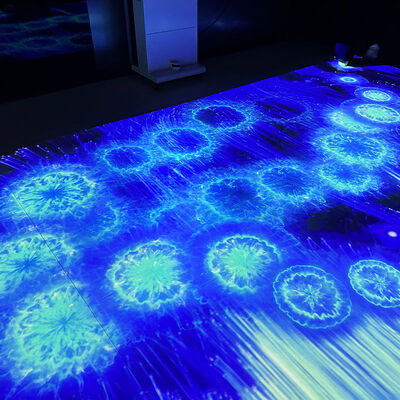 좋은 가격 Portable Mobile Interactive Floor Projection System with 1280*800 Resolution and 110V-250V Voltage 온라인으로