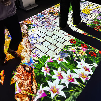 좋은 가격 Mobile All-in-One Interactive Floor Projection with 4000 Lumens Brightness 1280x800 Resolution and 110V-250V Voltage 온라인으로